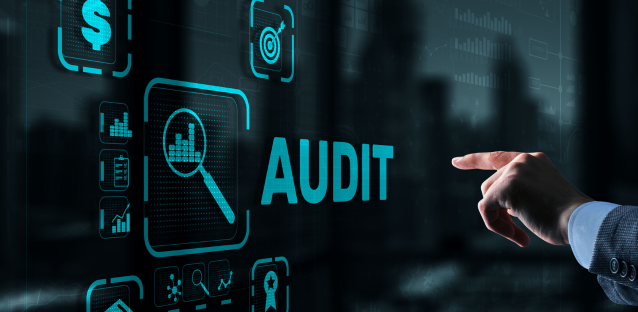What is the Custom Audit Check List?